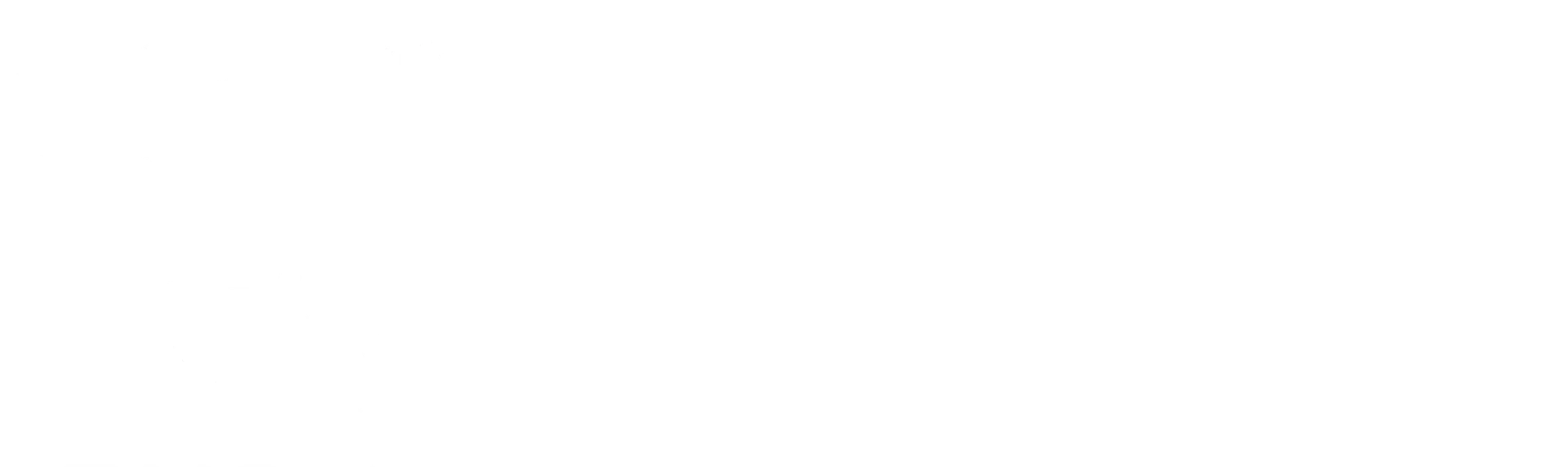 NDude Labs × SuperMush